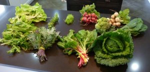 An example of the contents of our weekly CSA box from Poplar Ridge Farm last year